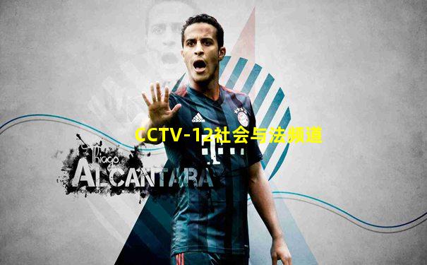 CCTV-12社会与法频道