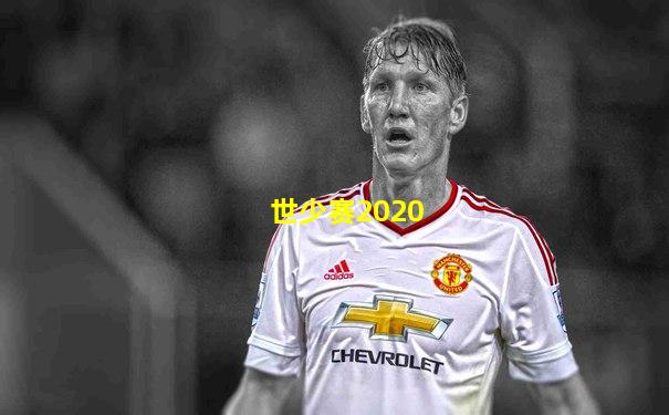 世少赛2020