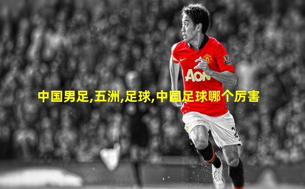 中国男足,五洲,足球,中国足球哪个厉害
