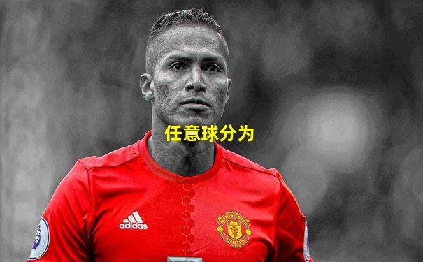任意球分为
